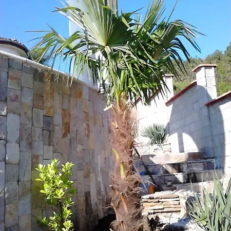 Sky Music オブゾー