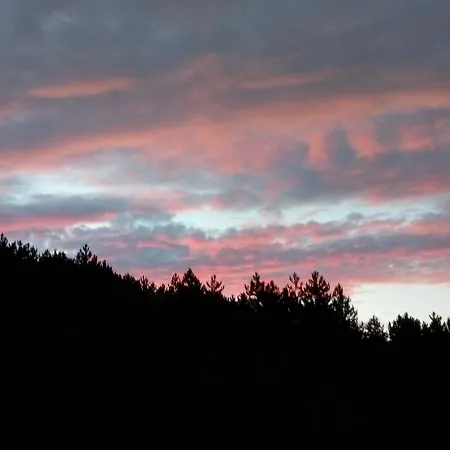 ヴィラ Sky Music *