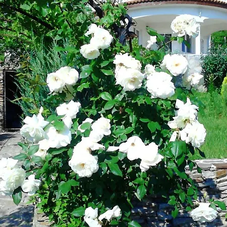 Sky Music ヴィラ オブゾー