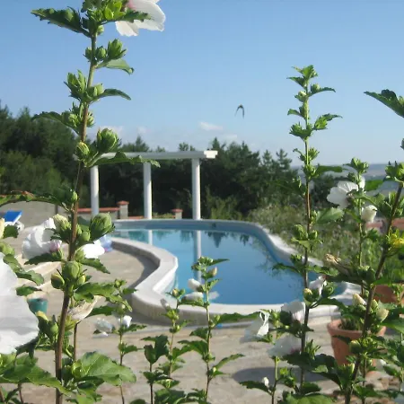 Sky Music * オブゾー